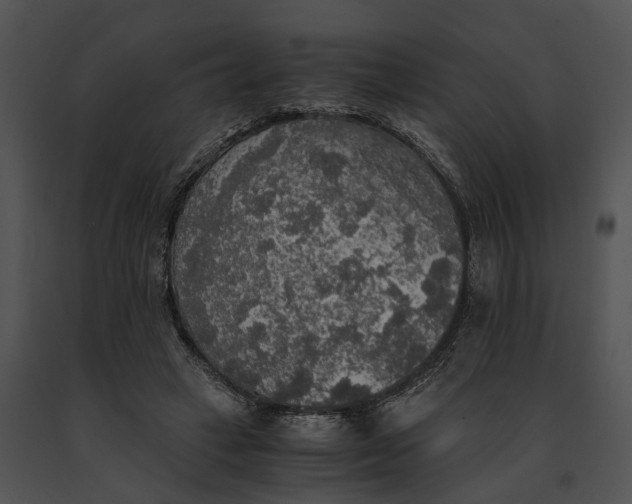 X0000091200449200708301603
