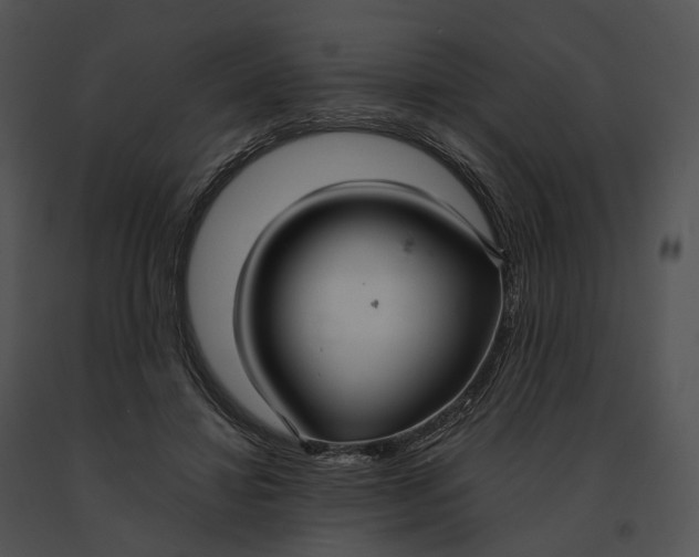 X0000091200452200708301604