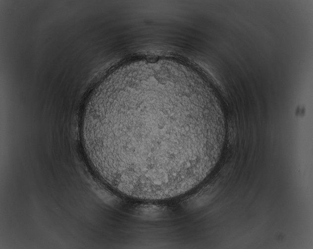 X0000091200453200708301604