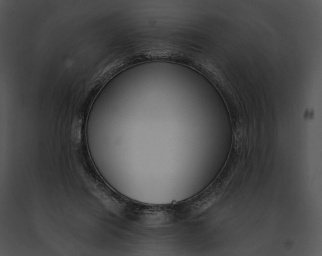 X0000091200454200708301604