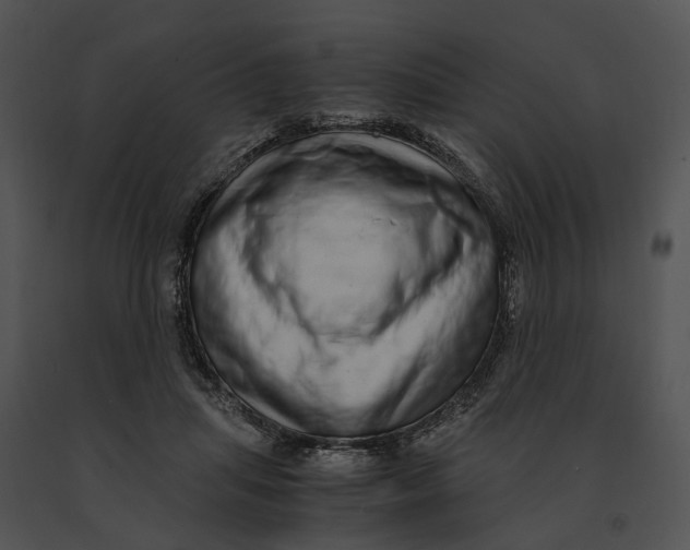 X0000091200455200708301604