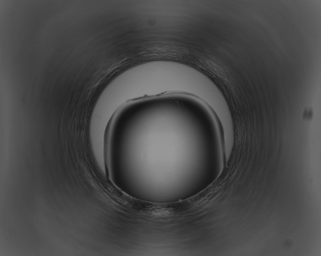 X0000091200456200708301604