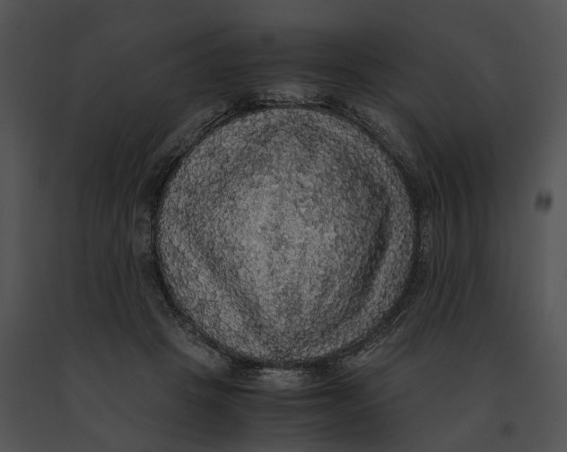 X0000091200457200708301604