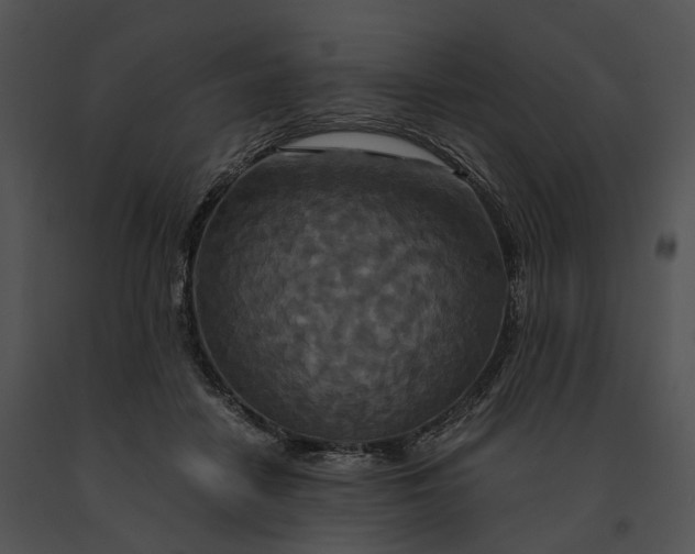 X0000091200458200708301604