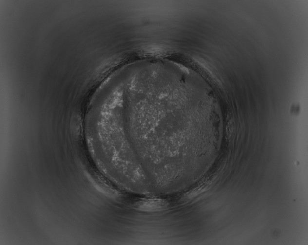 X0000091200459200708301604