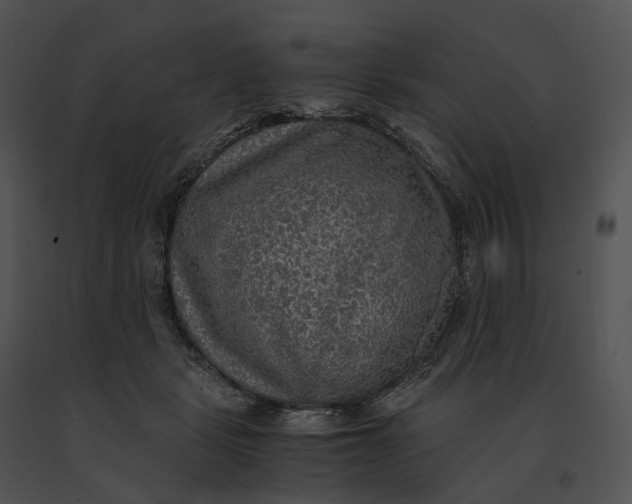 X0000091200461200708301604