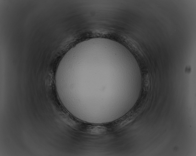 X0000091200463200708301604