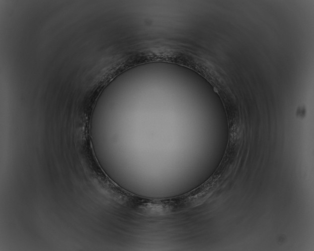 X0000091200464200708301604