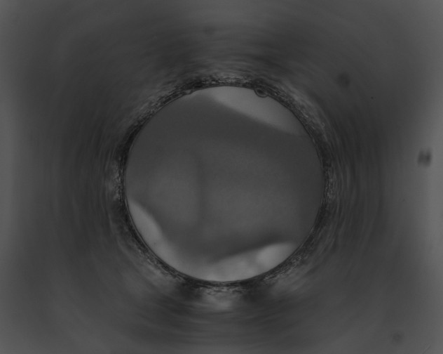 X0000091200465200708301604