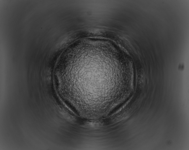 X0000091200466200708301604