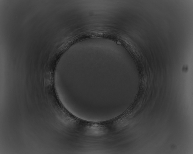 X0000091200467200708301604
