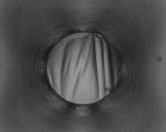 X0000091200470200708301604