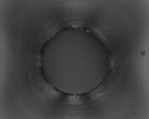 X0000091200471200708301604