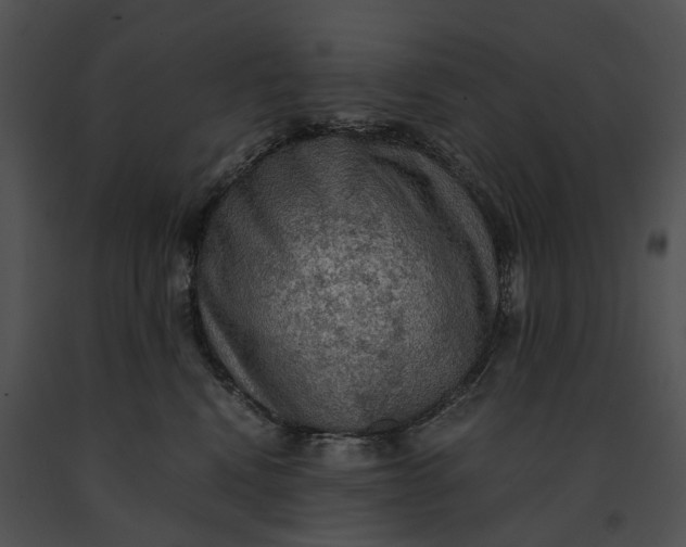 X0000091200472200708301604
