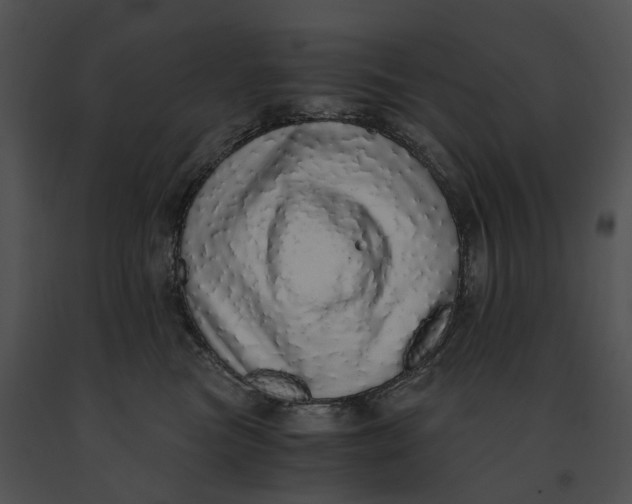 X0000091200473200708301604