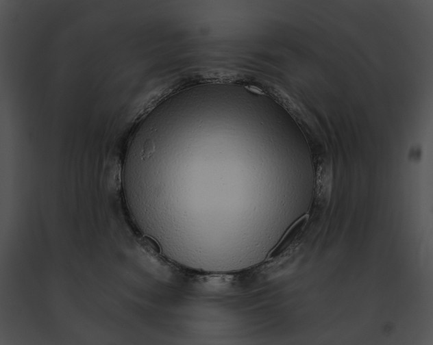 X0000091200474200708301604