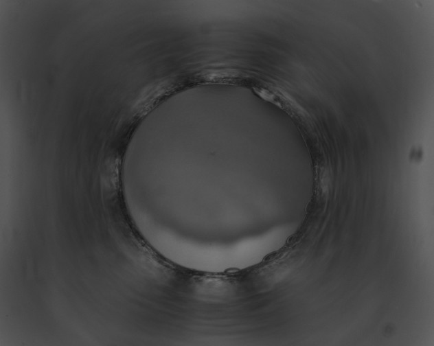 X0000091200475200708301604