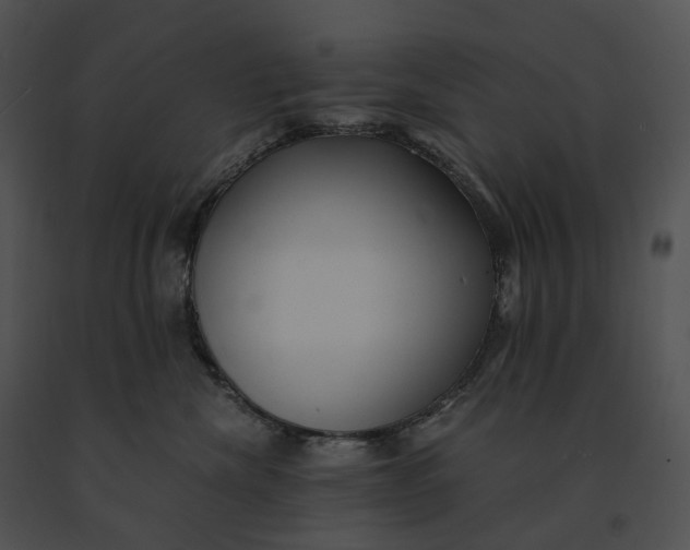 X0000091200476200708301604