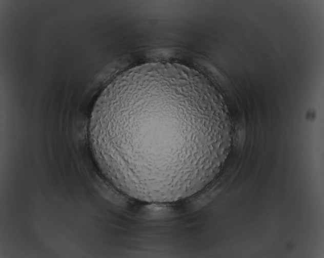 X0000091200477200708301604