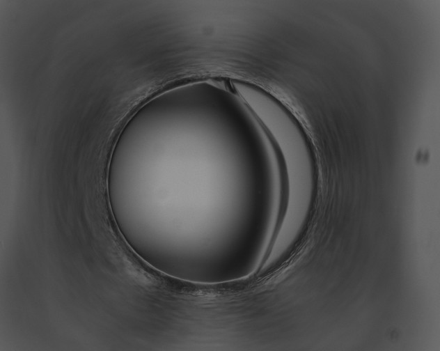 X0000091200481200708301603