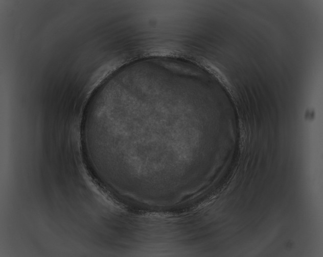 X0000091200482200708301603