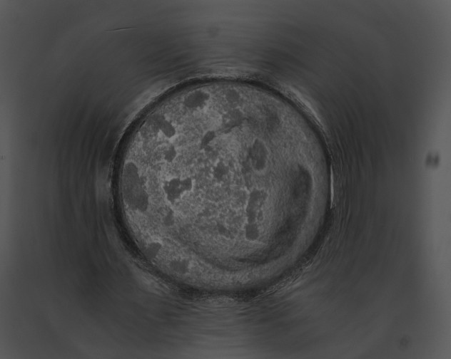 X0000091200483200708301603