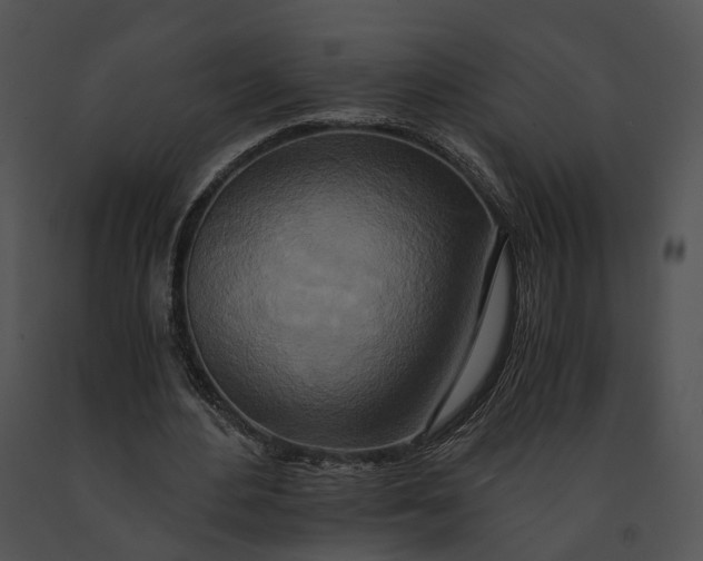 X0000091200484200708301603