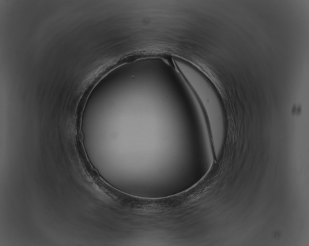 X0000091200485200708301603
