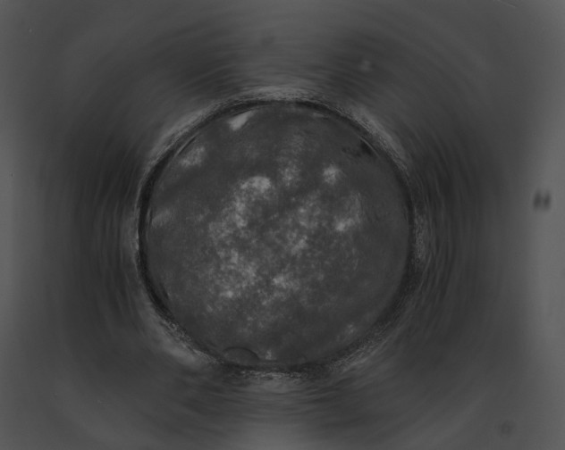 X0000091200486200708301603