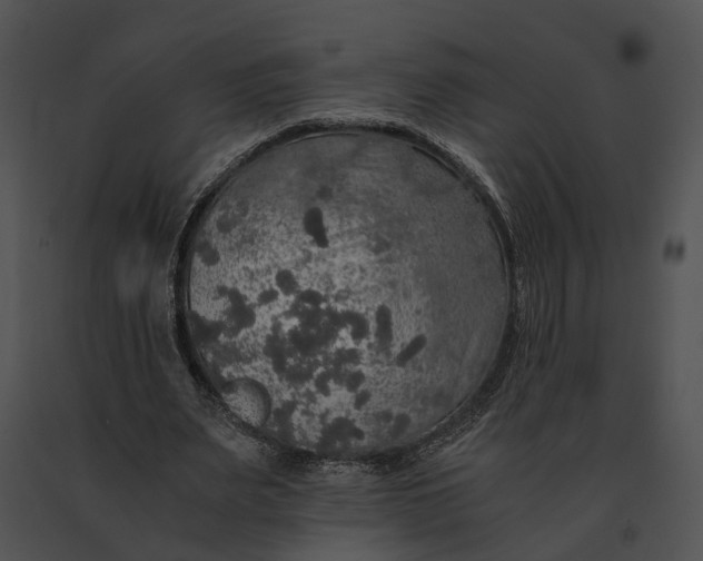 X0000091200487200708301603
