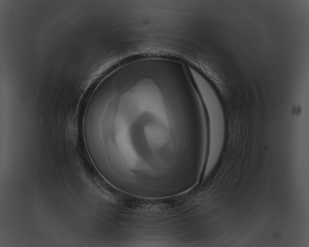 X0000091200488200708301603