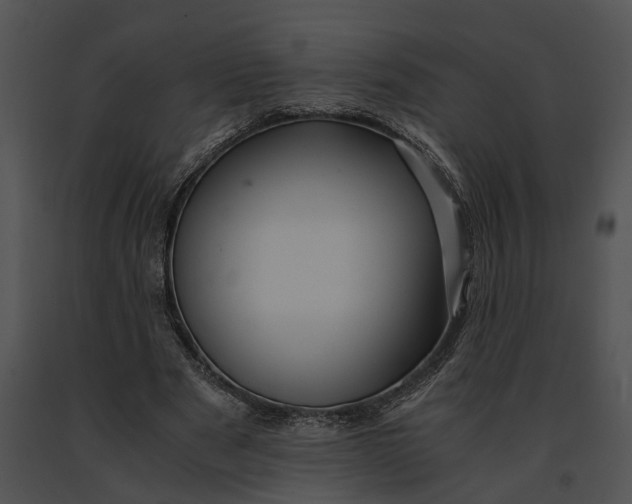 X0000091200489200708301603