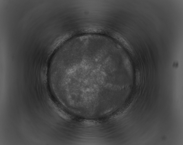 X0000091200490200708301603