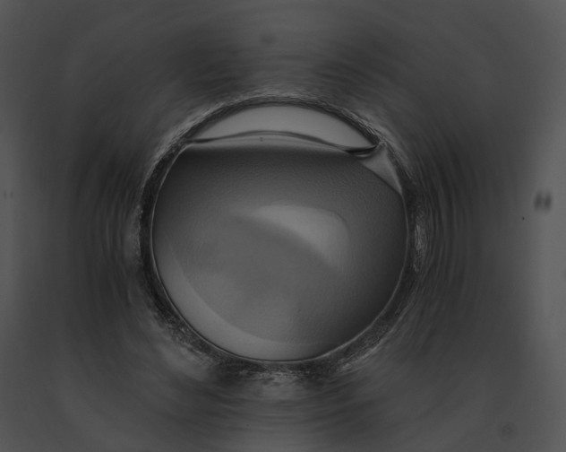 X0000091200492200708301603