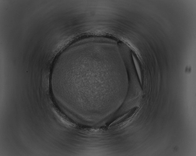 X0000091200493200708301603