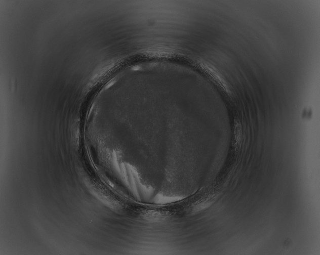X0000091200494200708301603