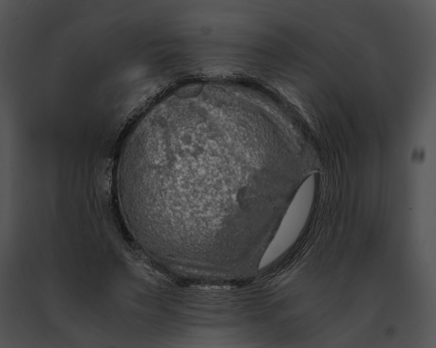X0000091200495200708301603