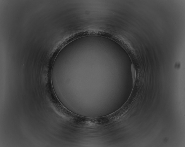 X0000091200496200708301603