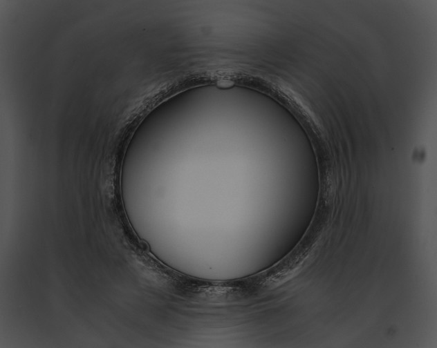 X0000091200497200708301603