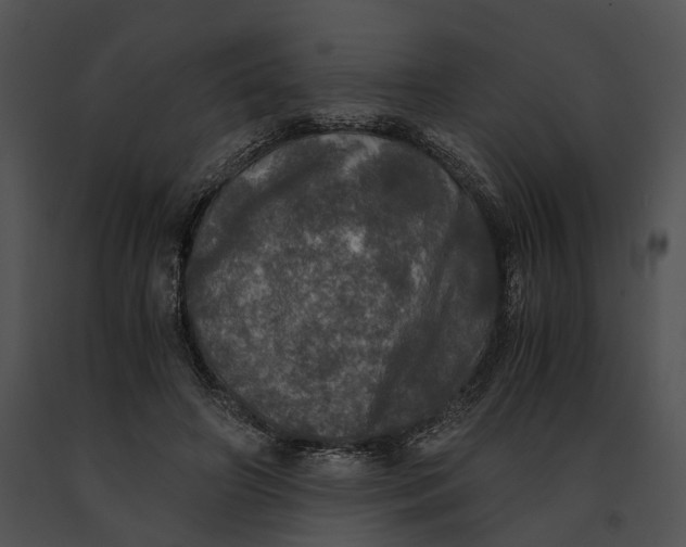X0000091200498200708301603