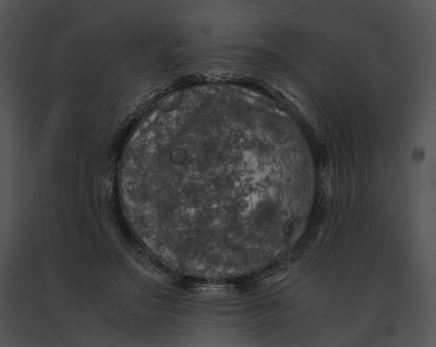 X0000091200499200708301603