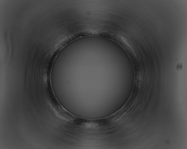 X0000091200500200708301603