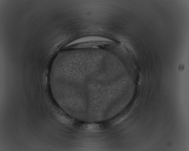 X0000091200501200708301603