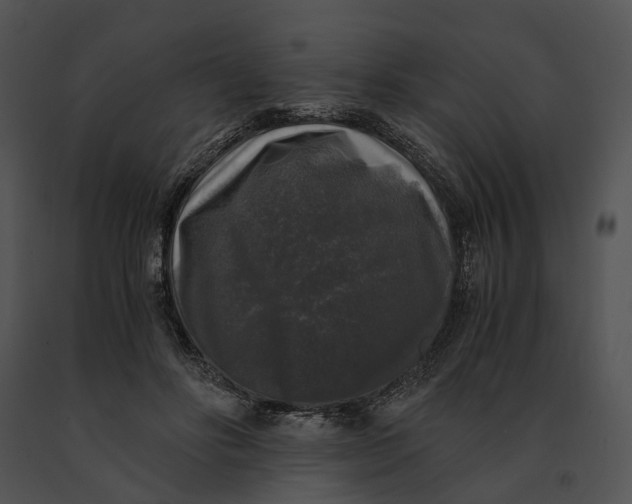X0000091200502200708301603