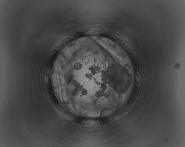 X0000091200503200708301603