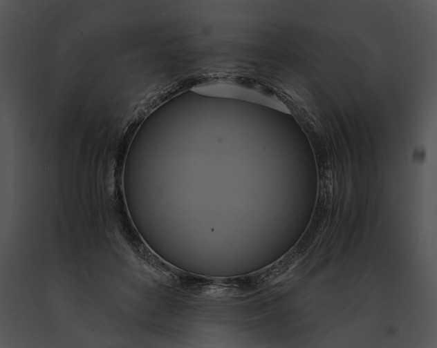 X0000091200504200708301603