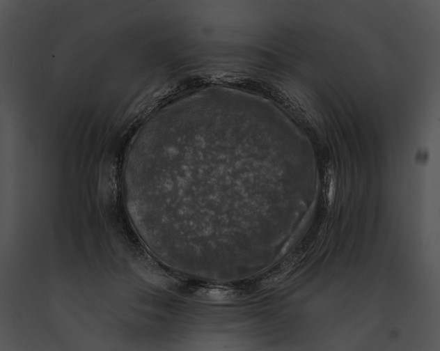 X0000091200506200708301603
