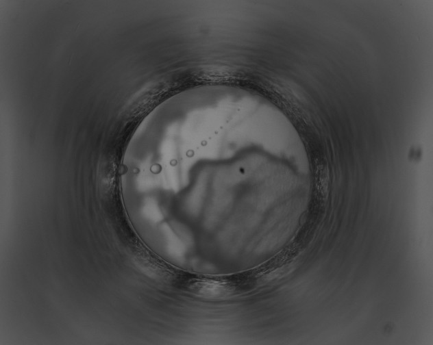 X0000091200507200708301603