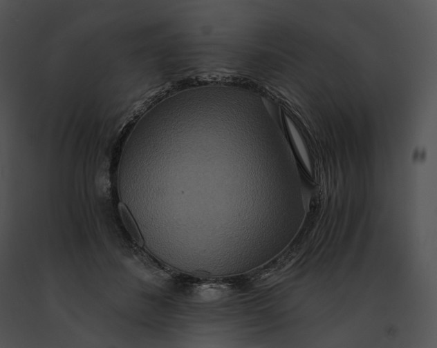 X0000091200508200708301603