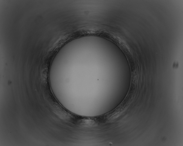 X0000091200509200708301603